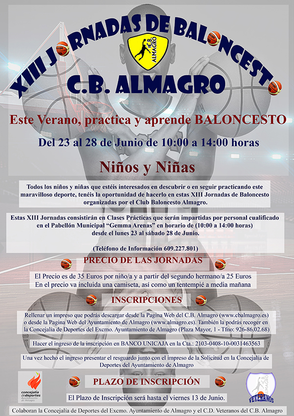 Cartel Baloncesto XIII Web